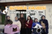 Gümüşhane'deki öğrenci yurdunun güvenlik kulübesi kedilere yurt oldu