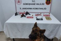 Jandarma’dan uyuşturucu madde ve ruhsatsız silah operasyonu