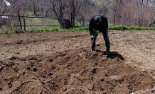 Gümüşhane’de tohumlar toprakla buluştu