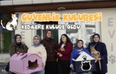 Gümüşhane'deki öğrenci yurdunun güvenlik kulübesi kedilere yurt oldu