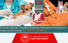 Kedi ve köpekler 31 Aralık tarihine kadar kimliklendirilecek