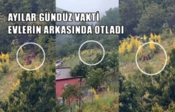 Gündüz vakti şaşırtan misafirler kameraya takıldı