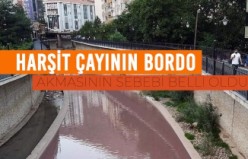 Harşit çayındaki bordo rengin sebebi oldu