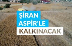 Şiran Aspir’le kalkınacak