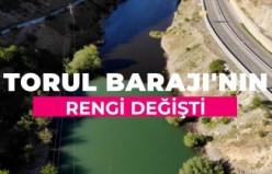 Torul Baraj Gölünde alg patlaması suyun rengini değiştirdi