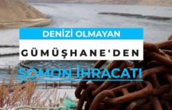 Denizi olmayan Gümüşhane’den Somon ihraç ediliyor