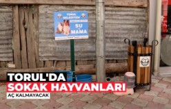 Bu ilçede sokak hayvanları aç kalmayacak