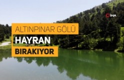 Altınpınar Limni Gölü el değmemiş doğasıyla hayran bırakıyor