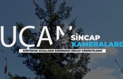 Gümüşhane'de uçan sincap kameralarda