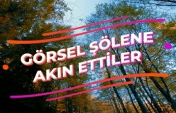 Görsel şöleni görmek için Örümcek Ormanlarına akın ettiler