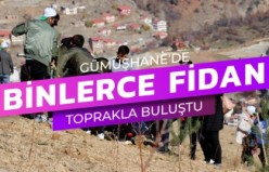 Gümüşhane’de Milli Ağaçlandırma Gününde binlerce fidan toprakla buluştu