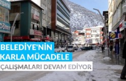 Kent merkezinde karla mücadele çalışmaları