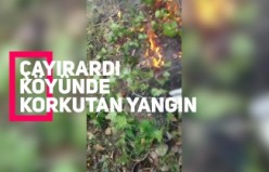 Gümüşhane’de orman içi örtü yangını korkuttu