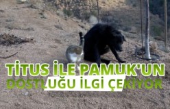 Titus ile Pamuk’un dostluğu ilgi çekiyor