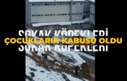 Gümüşhane’de başıboş sokak köpekleri çocukların kabusu oldu