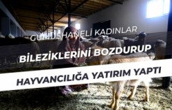 Gümüşhaneli kadınlar bileziklerini bozdurup hayvancılığa yatırım yaptı