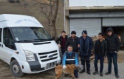 Torul Belediyesinden kafasına bidon sıkışan köpek için operasyon