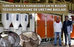 Türkiye’nin ilk karabuğday un ve bulgur tesisi Gümüşhane’de üretime başladı