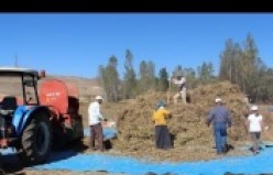 Köse’nin yeni gelir kapısı kuru fasulye oldu