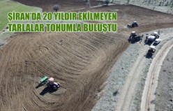 Gümüşhane'de 20 yıldır ekilmeyen tarlalar ekilmeye başlandı