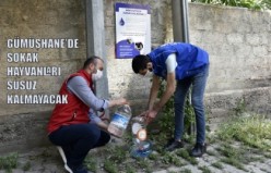 Gümüşhane’de sokak hayvanları susuz kalmayacak