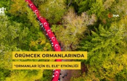 Örümcek Ormanlarında "Ormanlar İçin El Ele" etkinliği yapıldı