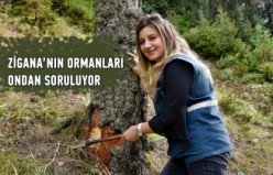 Zigana’nın ormanları ondan soruluyor