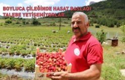 Tavsiye üzerine başladılar şimdi siparişlere yetişemiyorlar