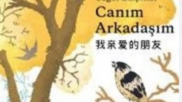 Kelkit’te “Yeni Yüzyıl Kitapların Yüzyılı” kitap okuma yarışması