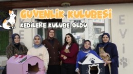 Öğrenci yurdunun güvenlik kulübesi kedilere yurt oldu