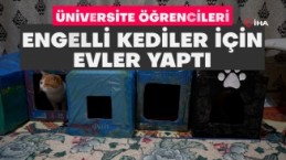 Gümüşhane’de öğrenciler engelli kedilere kedi evi yaptı