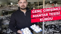 Genç girişimci mantar üretim tesisiyle kentin mantar ihtiyacını karşılıyor