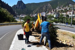 Torul’da peyzaj ve ağaçlandırma çalışmaları devam ediyor