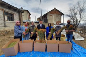 Kadınlar üretti, kadınlar ihraç etti