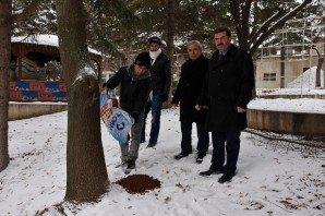 Belediye, sokak hayvanlarına yem bıraktı