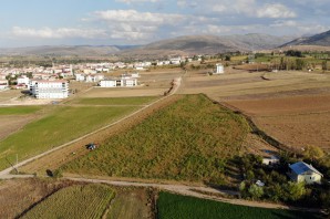 Lezzetiyle ünlü Kelkit Şeker Fasulyesinde hasat devam ediyor