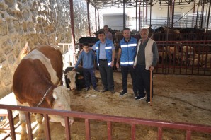 Kurban Bayramı öncesi hazırlıklar tamamlandı