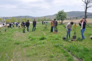 Kelkit Yüksekokul Kampüsüne Ağaç Dikiliyor