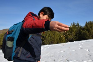 Gümüşhane’de Dünya Sulak Alanlar Günü yürüyüşü düzenlendi