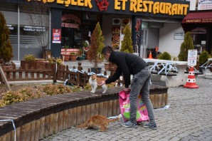 Gümüşhane Belediyesi sokak hayvanlarını unutmadı