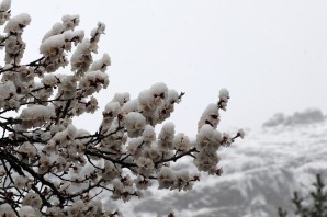 Gümüşhane’ye Nisan ayında beyaz sürpriz