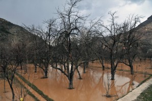 Gümüşhane'de ki Aşırı Yağış