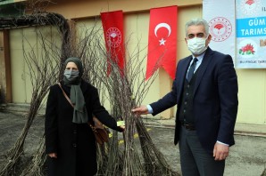 Gümüşhane’de kadın çiftçilere dikensiz kuşburnu fidanı dağıtıldı