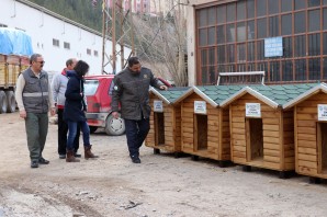 Gümüşhane’de sokak hayvanlarına beş yıldızlı kulübe yapıldı