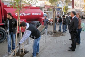 Gümüşhane'de Caddeler Ağaçlandırılıyor