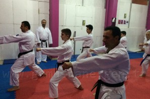 Kelkit'ten bir Shihan geçti