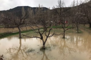 Harşit Çayı taştı bahçeler göle döndü