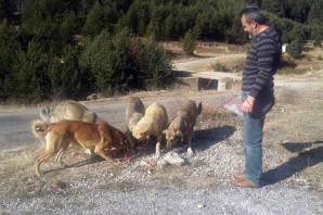 Özel İdare çalışanlarından örnek davranış