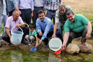 Balahor Deresine 8 Bin Adet Kırmızı Benekli Alabalık Bırakıldı