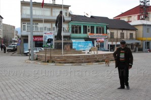 Şiran'da Sokak Köpekleri Sorunu Had Safhaya Ulaştı